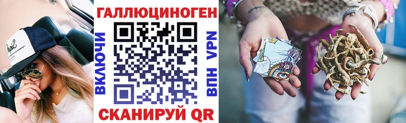 ссылка на мегу зеркало  как найти наркотики  Закаменск  Псилоцибиновые грибы MAGIC MUSHROOMS 