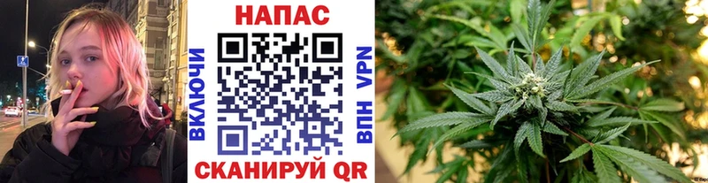 Конопля план купить наркотики цена Закаменск